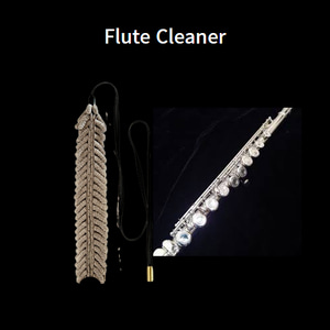 Flute Cleaner